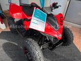 CFMOTO CFORCE 110 - CFMOTO CFORCE 110
