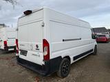 Fiat Ducato Grossr.-Kasten 35 150 L4H2 RS: 4035 mm - Fiat Ducato: 15