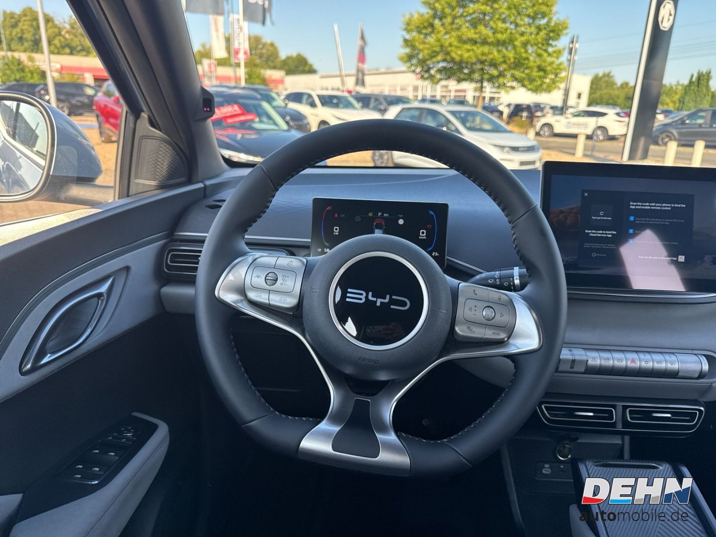 BYD DOLPHIN SURF