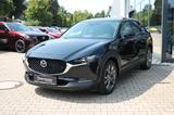 Mazda CX-30 SoMo X2.0 179PS EDITION100 ACC/BOSE/AHK - Mazda CX-30 Benzin Gebrauchtwagen
