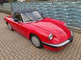 Alfa Romeo Alfa Spider Zender Top Zustand  orig. 61000KM - Alfa Romeo aus 1988