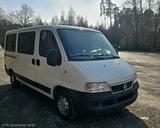 Fiat Ducato - gebrauchte Fiat Ducato aus dem Jahr 2006