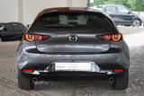 Mazda 3  2.0  SKYACTIV-G M-Hybrid Totwinkel Head-Up LE - Mazda 3 in Hamburg