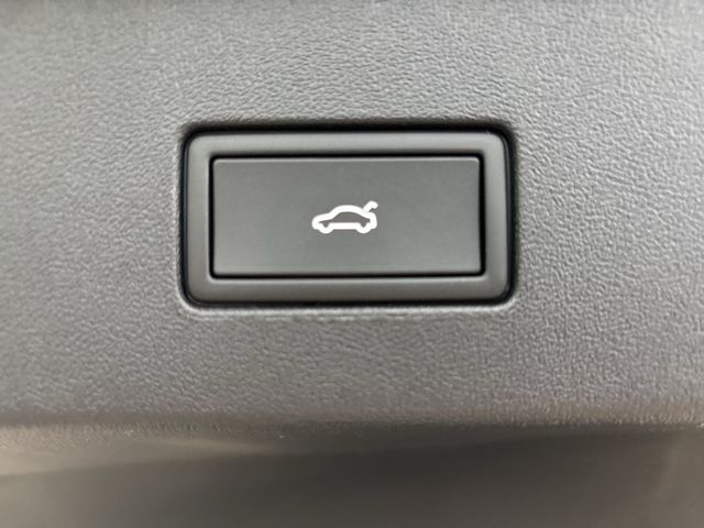 Tayron 2.0 TDI R-Line 4Motion, AHK, IQ Light, Bl