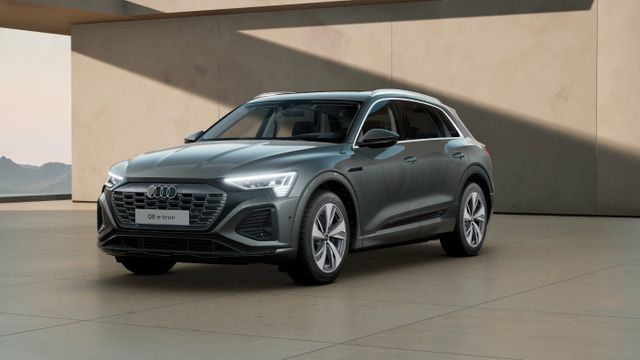 Audi Q8 e-tron S line 55 quattro AIR Pano Memory