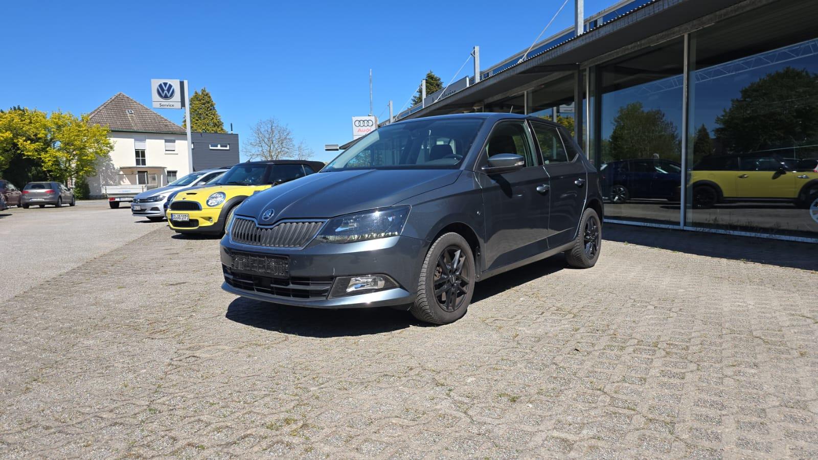 Skoda Fabia Style AHK Car Play Bluetooth PDC GRA