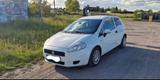 Fiat Punto van polnische Kennzeichen - Fiat Punto aus 2011 mit Diesel-Antrieb
