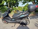 Yamaha Majesty 125 TÜV NEU - YAMAHA 125 MAJESTY