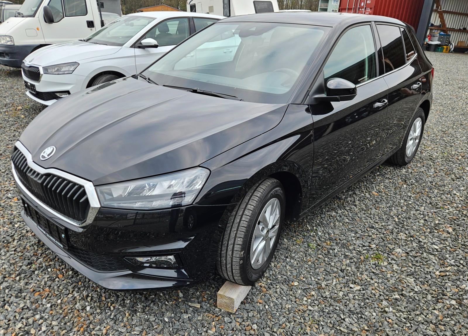 Skoda Fabia Chromleisten Climatronic Lenkradheizung...