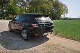 Land Rover Range Rover 3,0 TDV6 HSE - Land Rover Range Rover Gebrauchtwagen