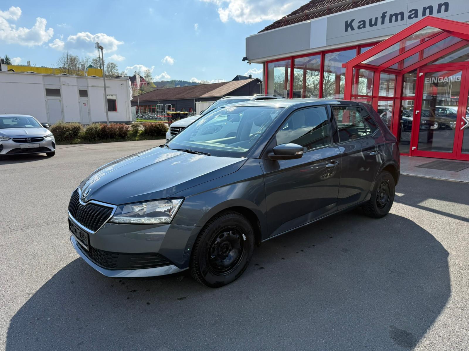 Skoda Fabia Active *KLIMA*SHZ*