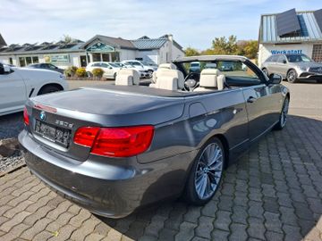 BMW 320 - 9