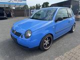 Volkswagen Lupo Basis TüV 08 2026 8Facht bereift - Volkswagen Lupo: Blau