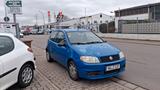 Fiat Punto 1.2 8V Trofeo - Fiat Punto aus 2004: 1.2