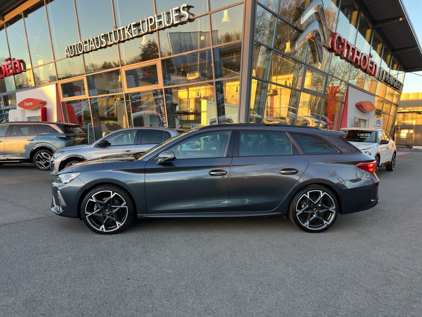 Fahrzeugabbildung CUPRA Leon Sportstourer 1.5 eTSI AD El. Panodach SHZ