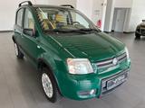 Fiat Panda 1.2 8V Climbing 4X4 Klima AHK el. FH City - Fiat Panda: Pickup