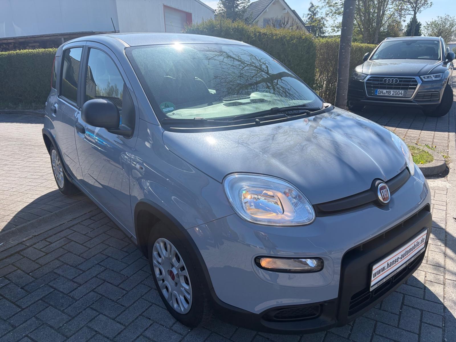 Fiat Panda 1.0 Hybrid GSE Cross-Klima-1.Hd-Allwetter-
