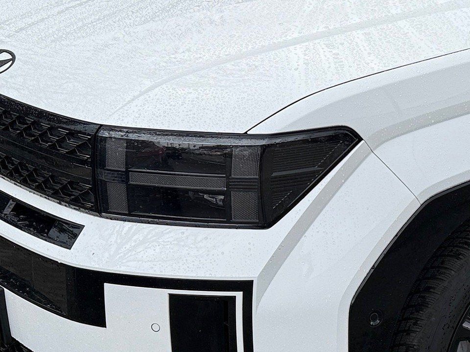 Fahrzeugabbildung Hyundai SANTA FE Plug-in BLACKLINE