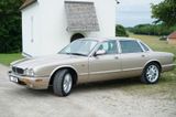 Jaguar XJ Executive 3.2 Sammler - Jaguar XJ: 3.2
