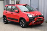 Fiat Panda Red Cross Hybrid+Klimaaut+Teil-Leder+1.Han - gebrauchte Fiat Kleinwagen