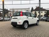 Fiat New Panda 1.0 Hybrid *5 Sitzer Klima Komfort* - Fiat New Panda aus 2024