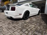 Ford Mustang Roush - Ford Mustang: Roush