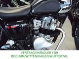 Kawasaki W 230 Modell 2026- SOFORT LIEFERBAR - Offers