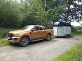 Ford Ranger Wildtrack 2,0 Eco - Ford Ranger in Kassel