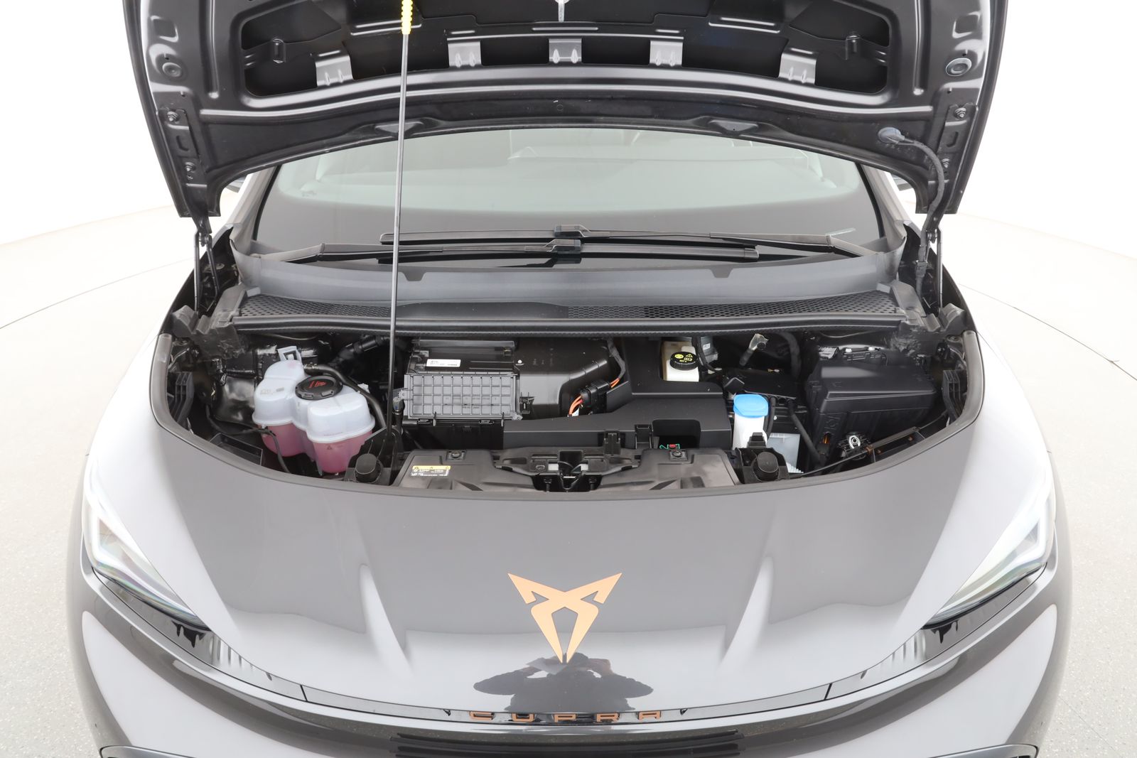 Cupra Born - Bild 12