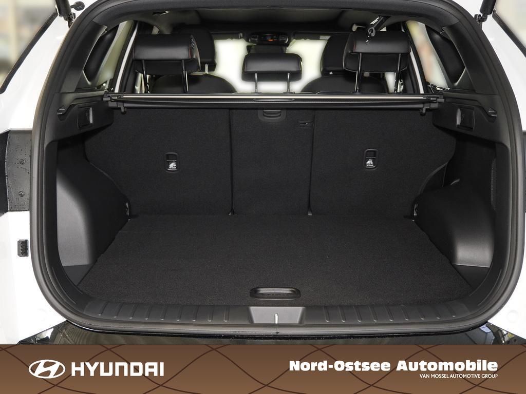 Fahrzeugabbildung Hyundai TUCSON FL HEV N Line Panoramadach
