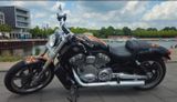 Harley-Davidson V-Rod Muscle Sondermodell Tüv & Inspektion NEU