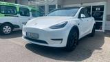 Tesla Model Y Basis RWD