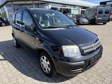 Fiat Panda 1.2 Dynamic KLIMA,TÜV 09/27,ALLWETTERREIFE - gebrauchte Fiat Panda aus dem Jahr 2008