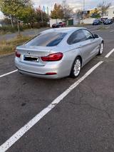 BMW 430 Gran Coupé 430d Gran Coupé M Sport A M Sport - BMW 430 Gran Coupé aus 2019