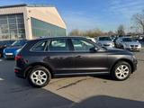 Audi Q5 2.0 TDI AUTOMATIK/TÜV NEU/QUATTRO/LEDER/NAVI - Audi Q5 bis 20.000 Euro