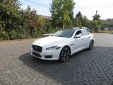 Jaguar XJ XJ50 pREMIUM lUXURY - Jaguar XJ: Luxury