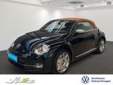 Volkswagen Beetle Cabriolet 1.2 TSI Karmann *PDC*SITZH*BLUE - Volkswagen: Karmann