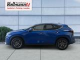 Lexus NX 350h Executive Line - Lexus aus 2024: Nx