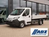 Fiat Ducato 35 Pritsche L2 / Kamera + 7-Zoll-Radio - Fiat Ducato Neuwagen