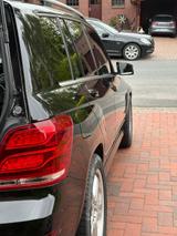 Mercedes-Benz 250 - Mercedes-Benz 250: Geländewagen