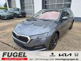 Skoda Octavia Combi 2.0 TDI DSG Tour Matrix|virt.Cock. - Skoda Octavia: Tour TDI