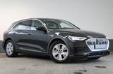 Audi e-tron 55 Quattro - Luft - LED - Standheizung - graue Audi e-tron