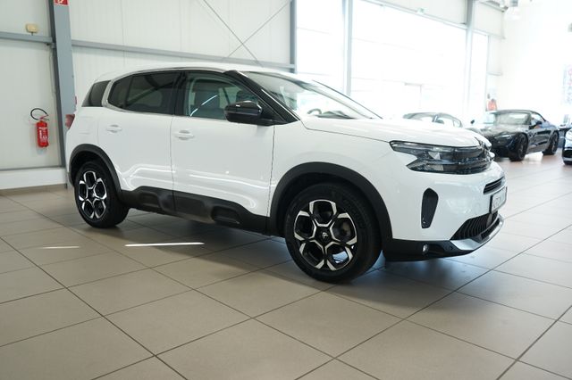 Vorschau Auto