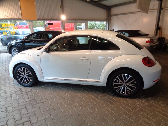 Volkswagen Beetle Lim. Allstar 2017 Kamera NAVI PDC