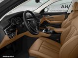 BMW 530i xDrive *nur für Händler oder Export* - mit Benzin-Antrieb: Oder