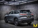 BAIC BJX55 inkl. Vollaus.+Konservierung+3Jahre Garant - BAIC X55 Gebrauchtwagen
