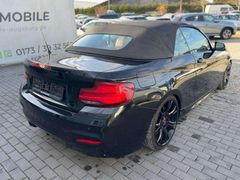 Fahrzeugabbildung BMW 220 220 d M PAKET M2 CS UMBAU