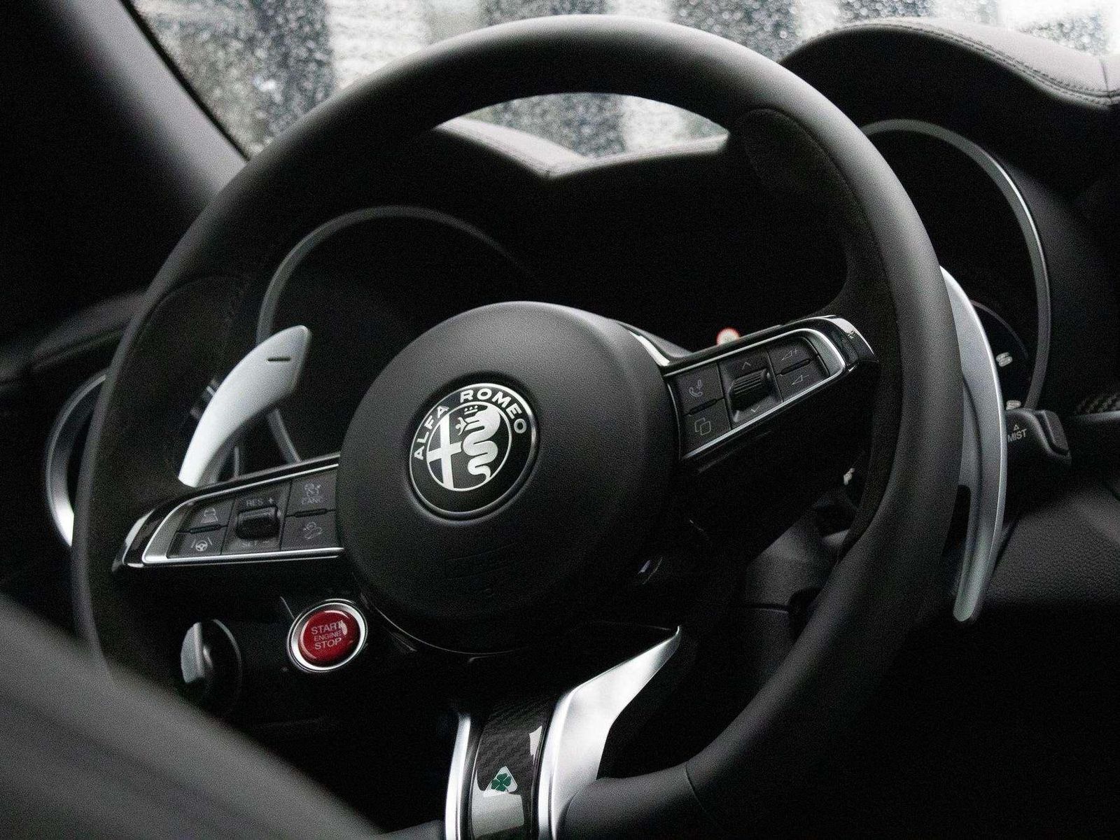 Fahrzeugabbildung Alfa Romeo Stelvio Quadrifoglio 2,9l Q4 vom AR Vertragshänd