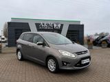 Ford Grand C-Max Grand C-MAX Titanium - Ford Grand C-Max: Leder