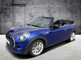MINI COOPER Cabrio LED, Navi, Kamera, 1. Hand - MINI Cooper in Wiesbaden
